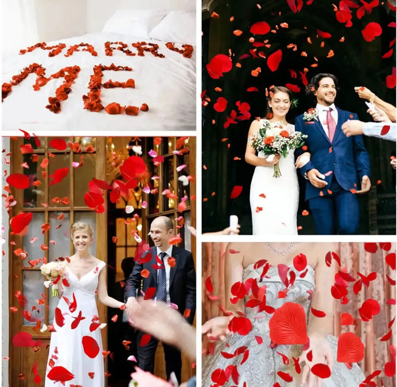 1000 Pcs/Pack Artificial Flower Rose Petals for Wedding Valentine's Day Decor