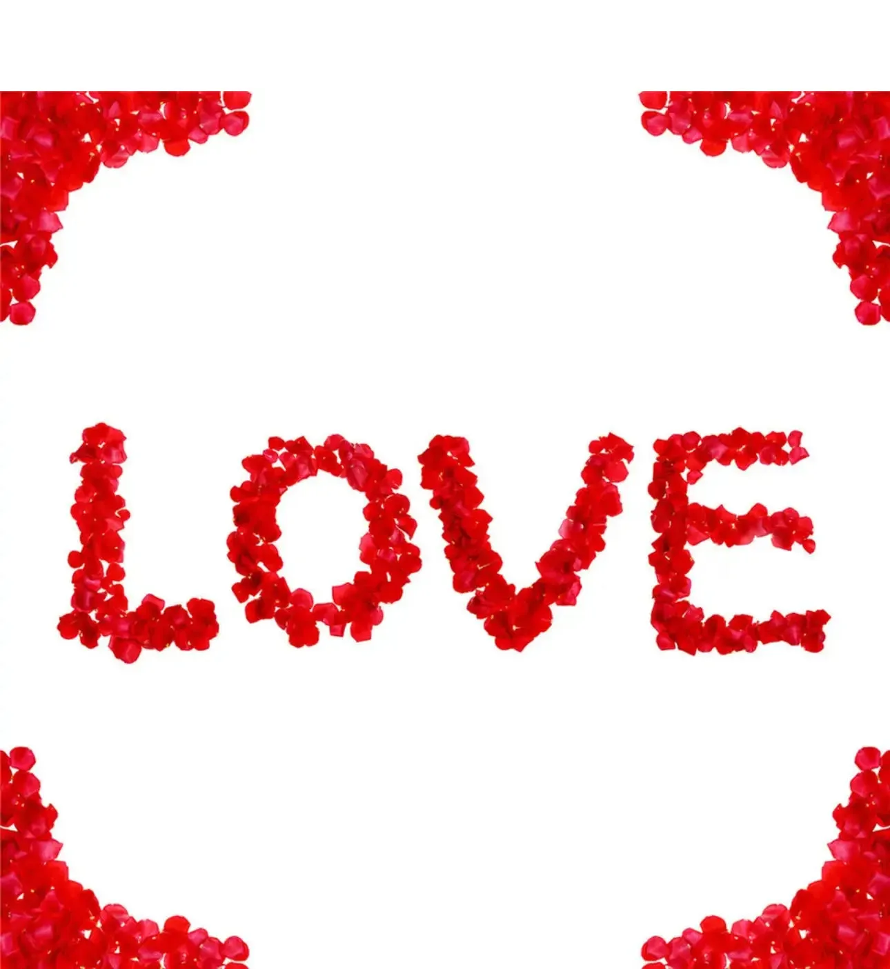 1000 Pcs/Pack Artificial Flower Rose Petals for Wedding Valentine's Day Decor