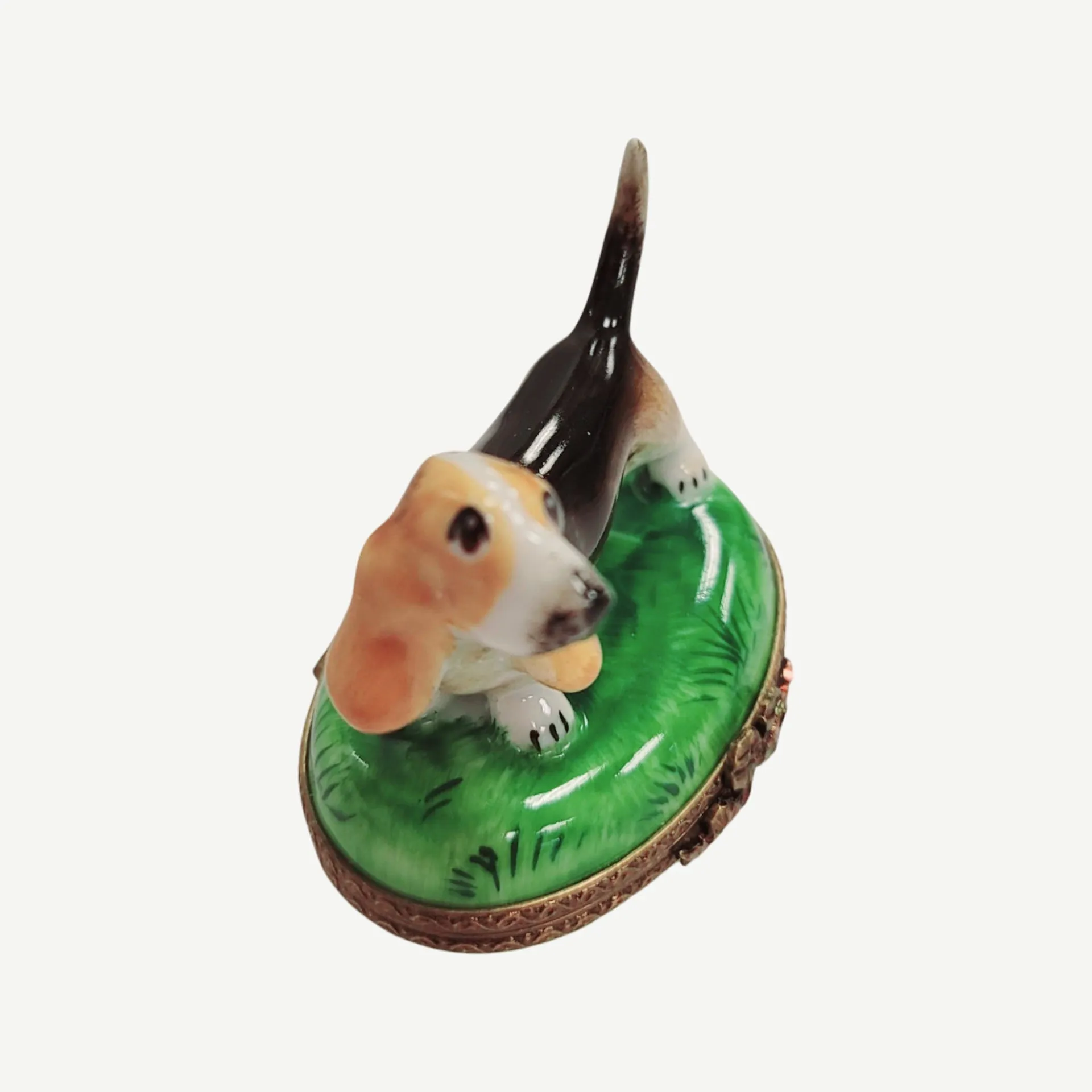 Bassett Hound Dog