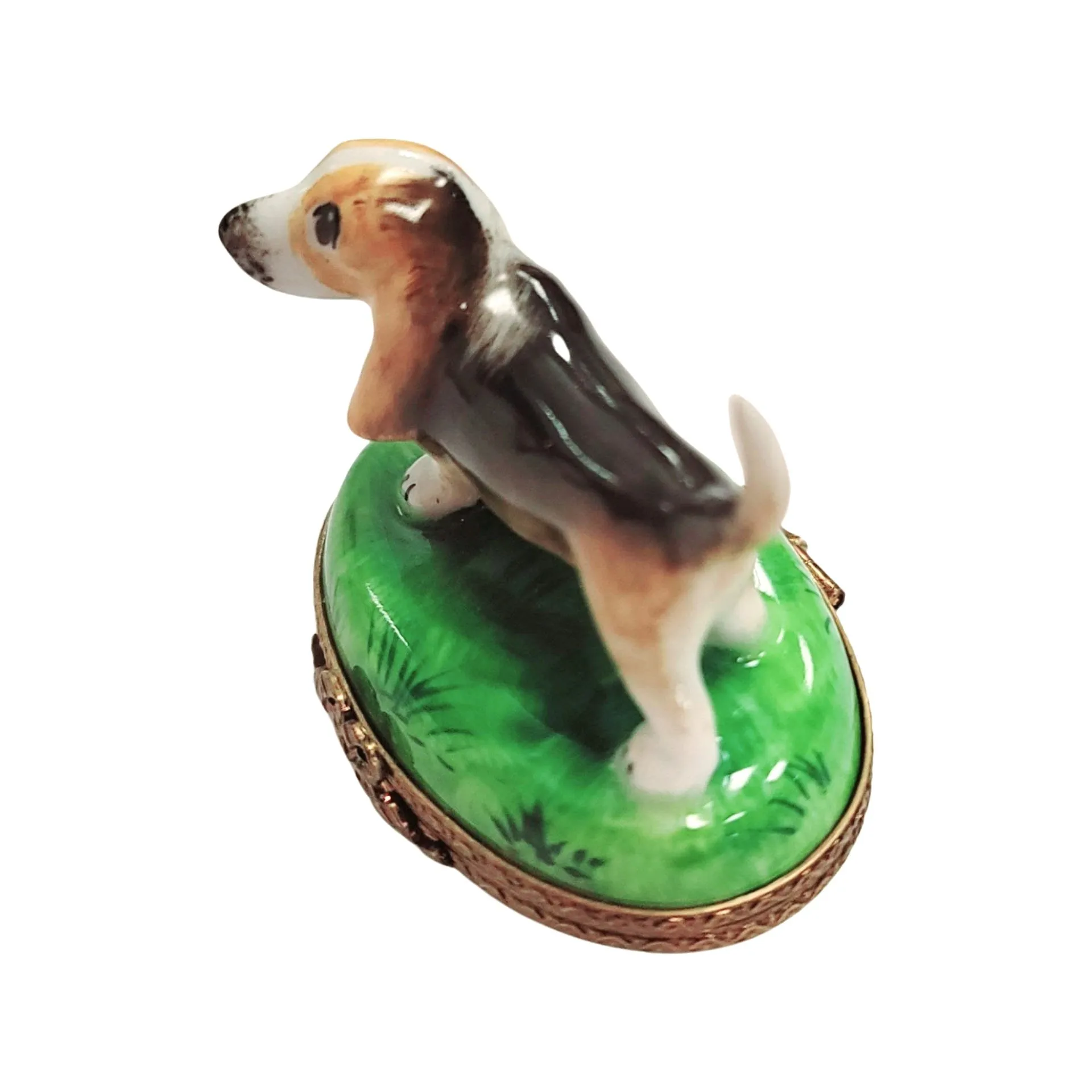 Bassett Hound Dog