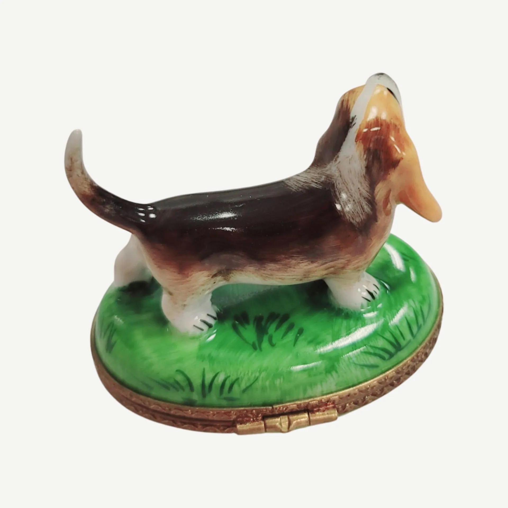 Bassett Hound Dog