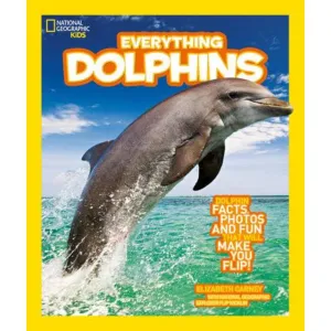 EVERYTHING DOLPHINS