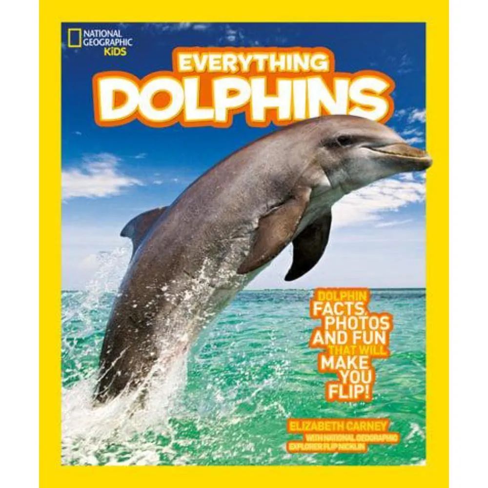 EVERYTHING DOLPHINS