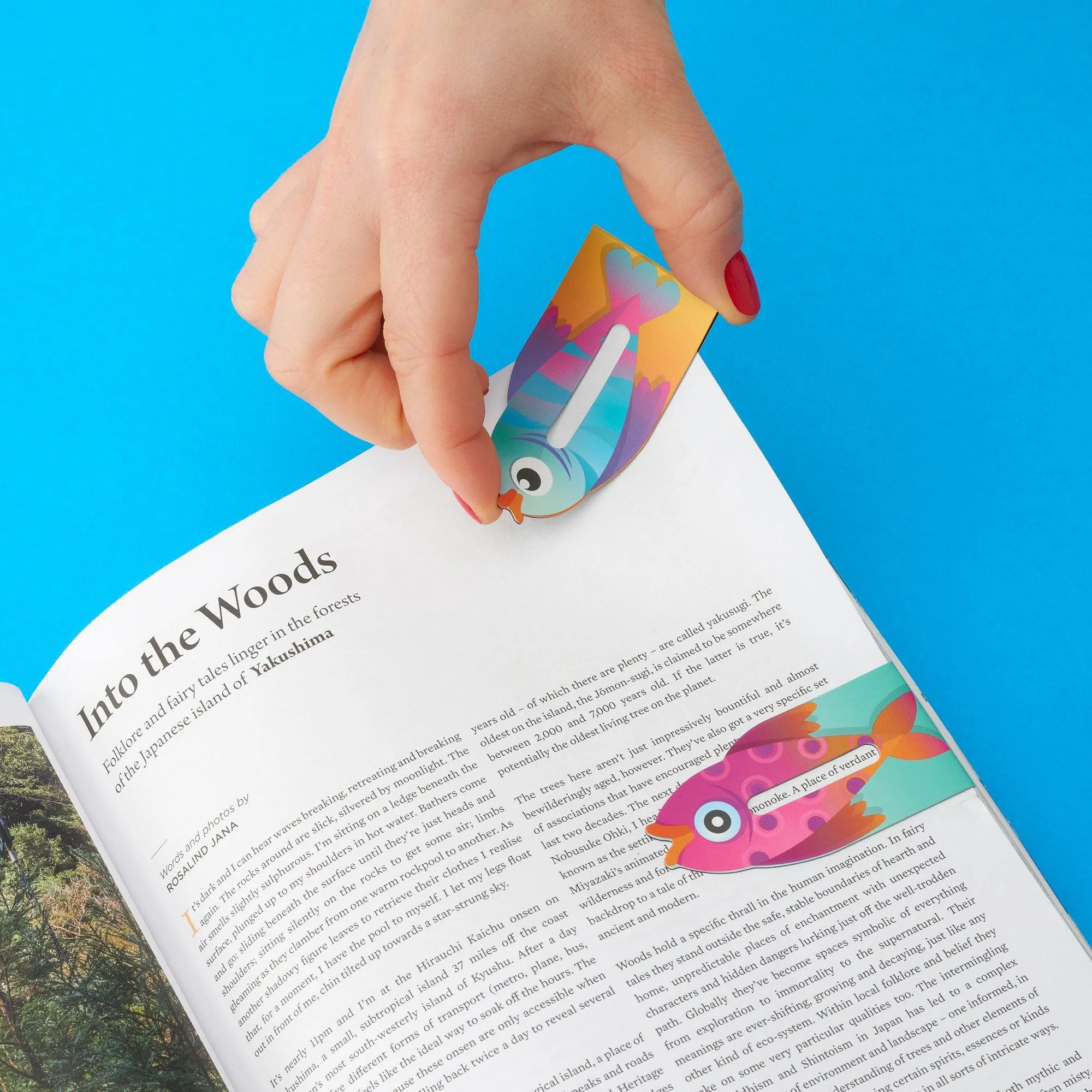 Linemarker Set of 2 Magnetic Bookmark (Fish)