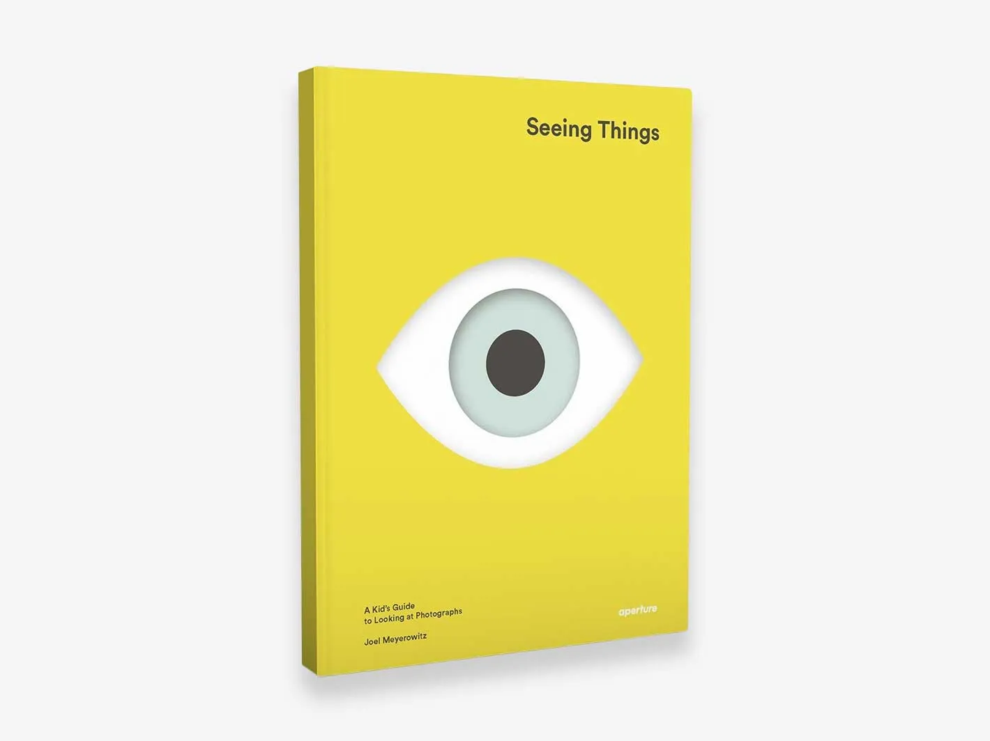 Seeing Things
