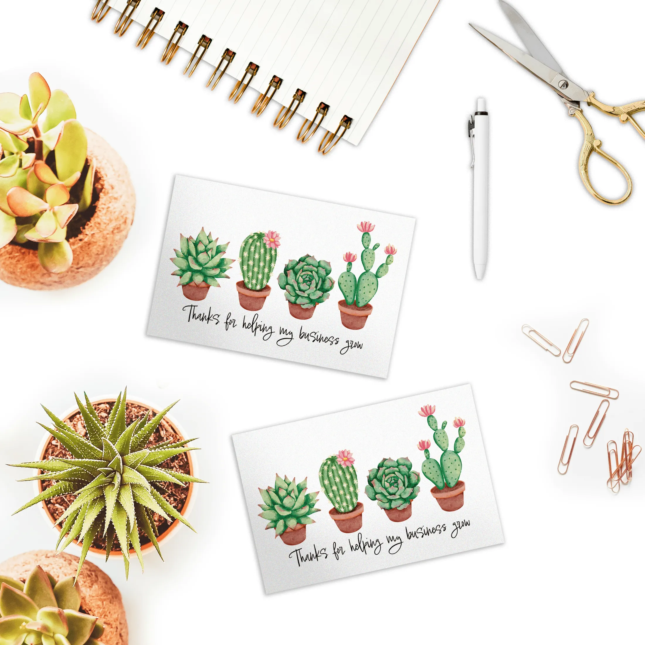 Succulent Insert Cards