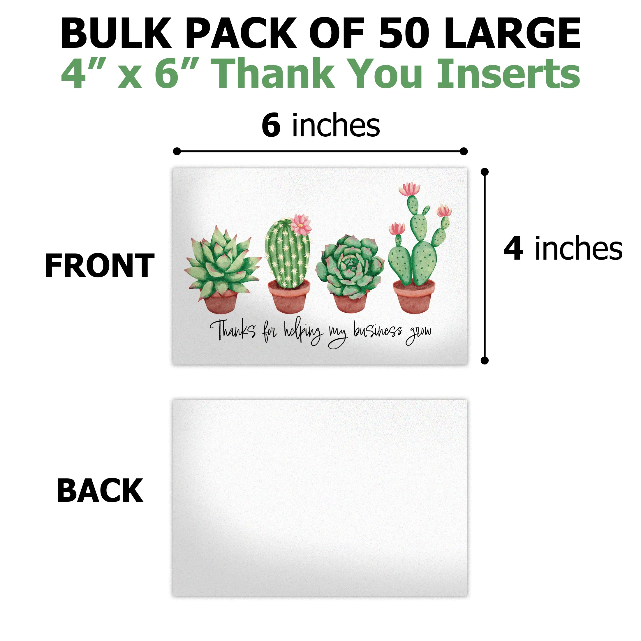 Succulent Insert Cards