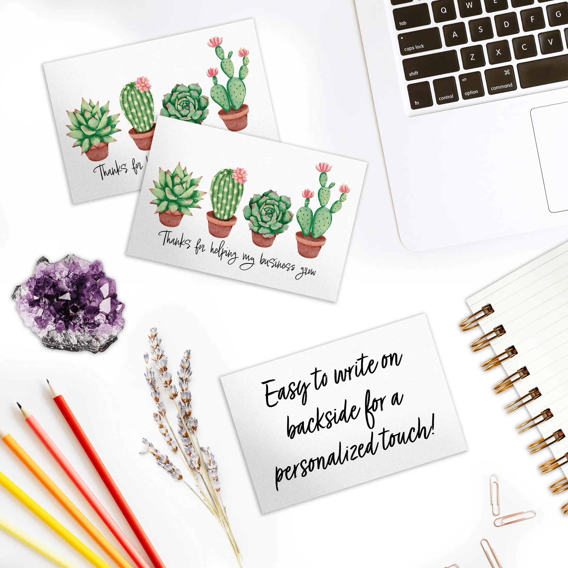 Succulent Insert Cards